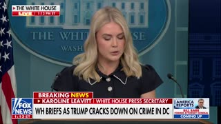 Karoline Leavitt: "For the third straight month, there were ZERO illegal aliens released into the country"