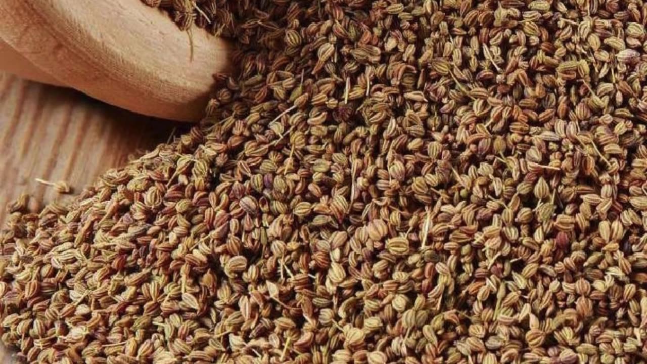 गर्मी में अजवाइन खाने के तीन ज़बरदस्त फायदे#health #shorts #viral #trending #like #fact #reels