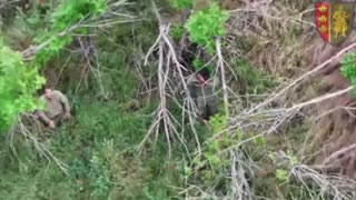 👀❗️65th Brigade in Zaporizhzhia direction captures two Russians…