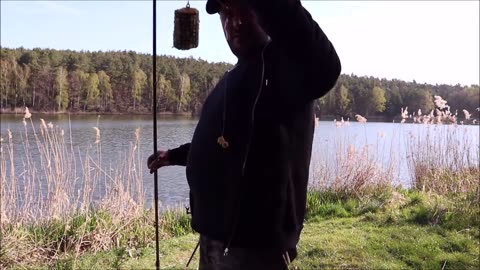 Das Stör Massaker, angeln wir den See leer! #Stör #Hecht