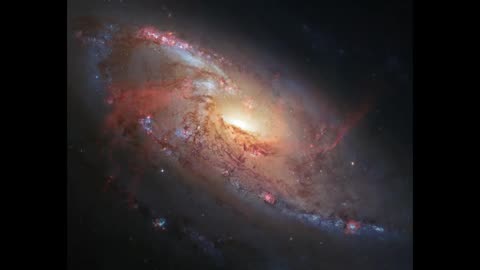 Lord Winter - Galactic