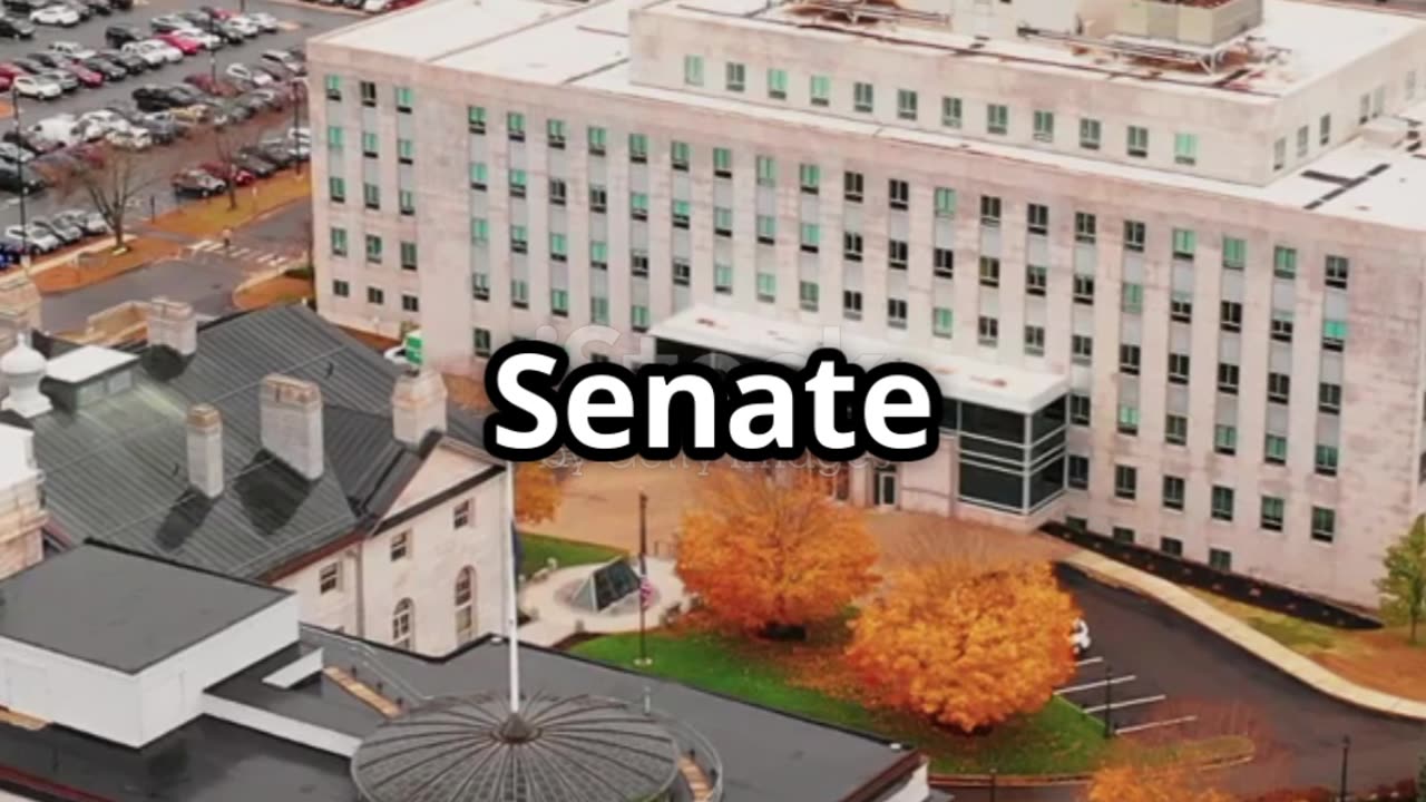 DNC Chair Ken Martin's Take on Graham Platner's Controversial Reddit Posts