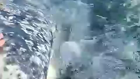 ●●