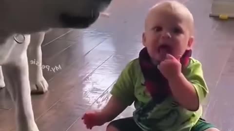 FUNNIEST BABY Moments and DOG