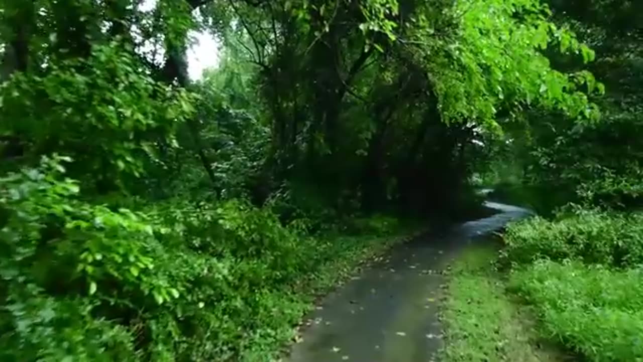 Rainy Night Ambience – Sleep, Study, and Relaxation Sounds