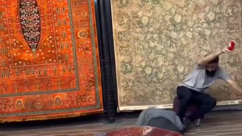 funnyvideosdaily