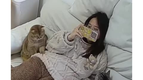 The Ugly Truth About Cat Fails No One Tells You