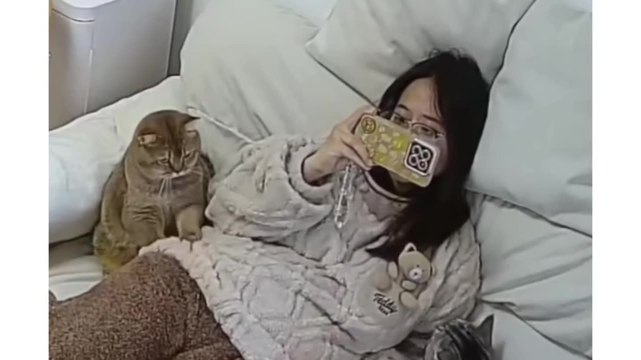 The Ugly Truth About Cat Fails No One Tells You