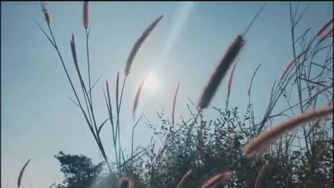 #2025 #music Nisi ti za zaborav #song #balada #love #cover