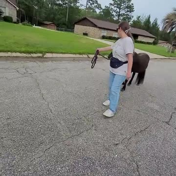 Visiting the neighbors