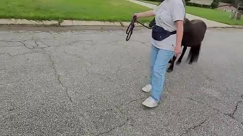 Visiting the neighbors