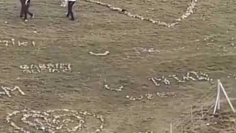 Jews dismantle a cross & turn it into a…
