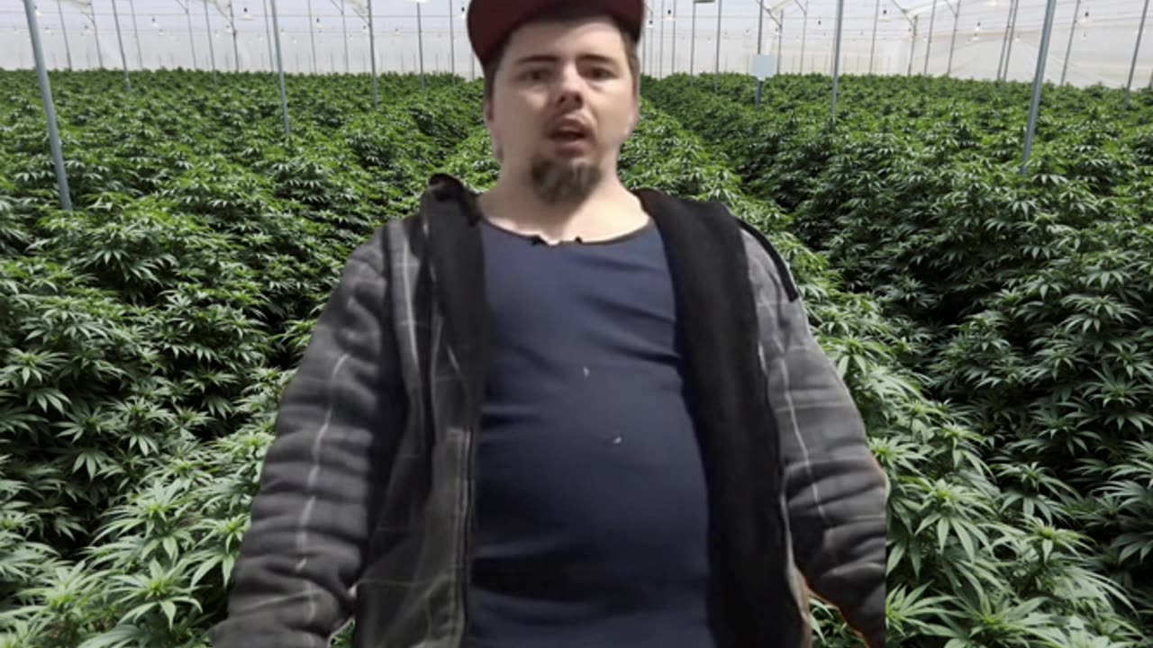 patoufe escobar