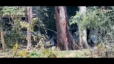 🚫💪 Thailand vs Cambodia | Thai Rangers Drove Cambodian Forces off Phu Makhuia | RCF