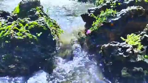 🔥 Ultimate Pop Songs Playlist | Viral English Hits 🎶