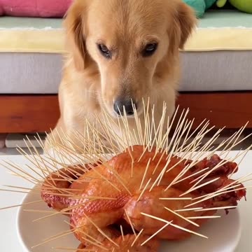 Extreme counter measures 😂