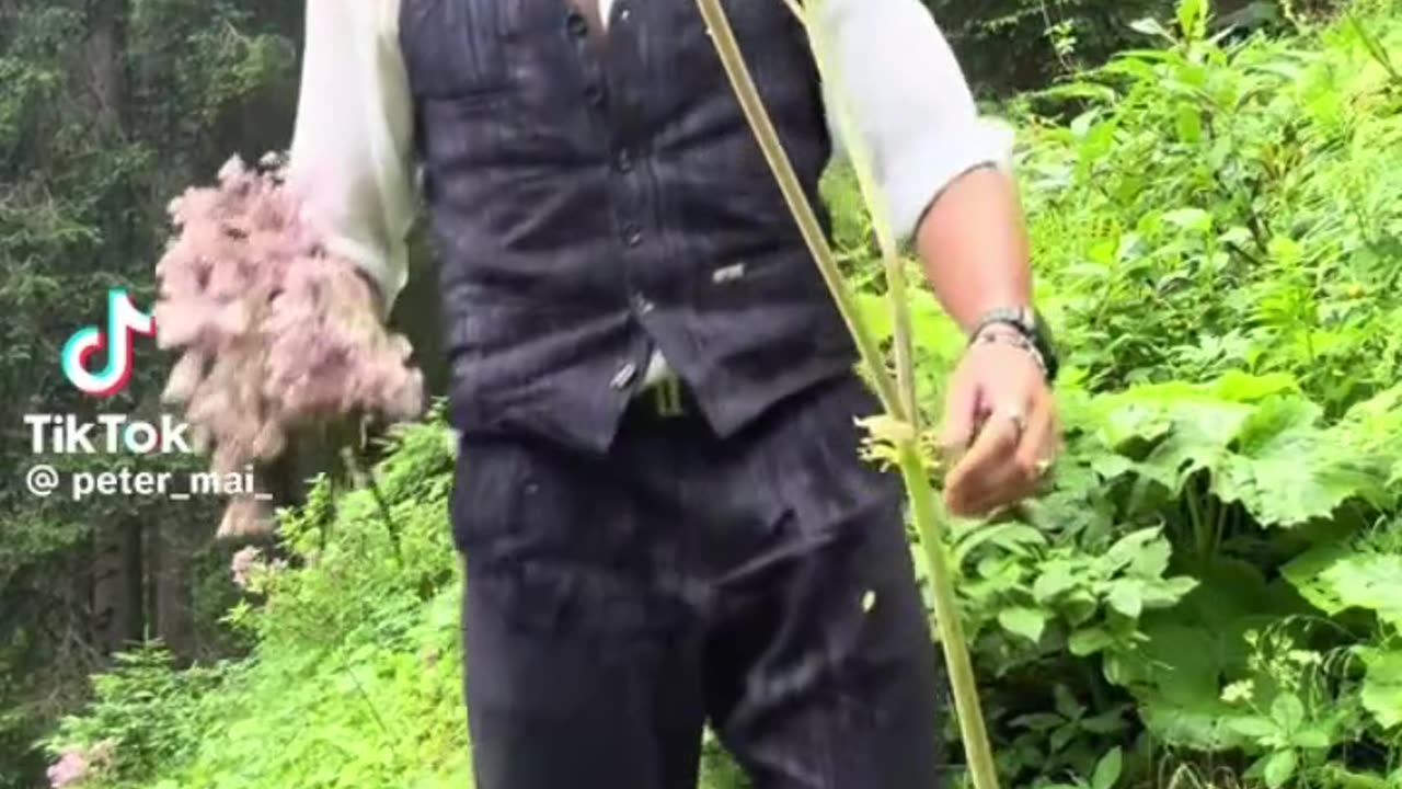 well, that video didn't work out