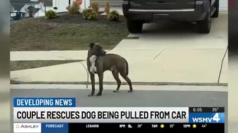 Cops in Nashville seek to ID person who dragged dog chained to car