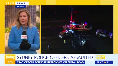 NSW police officers allegedly assaulted during welfare check ｜ 9 News Australia