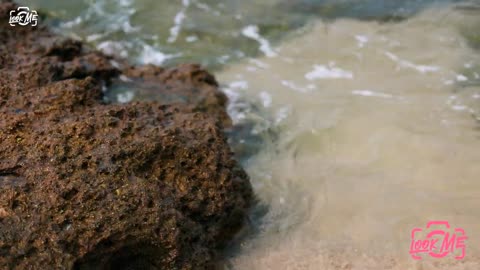 Lookme Music video GADE Beach day Bikini model fashion photo shot