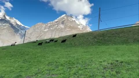 Switzerland’s Paradise： Rainy Day in Heavenly Beautiful Swiss Villages Countryside