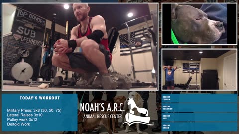 LBL Session w/Remy Pup & Dufus [Week 17] - Boulder Shoulders // Animal Rescue Stream :)