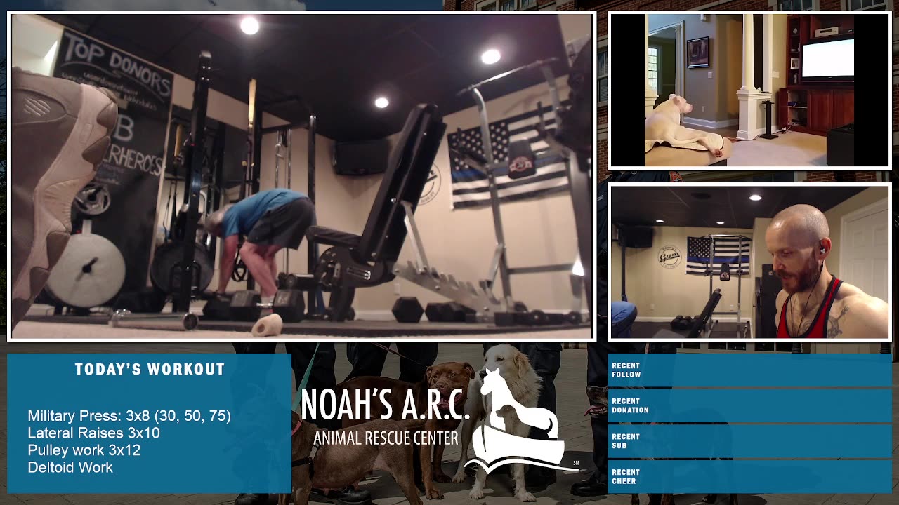 LBL Session w/Remy Pup & Dufus [Week 17] - Boulder Shoulders // Animal Rescue Stream :)
