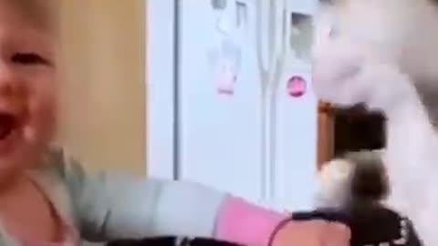Funny