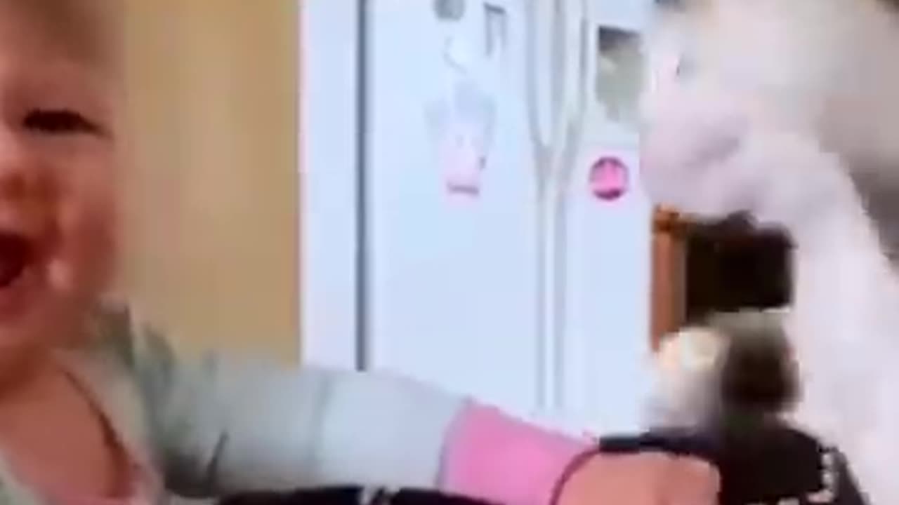 Funny
