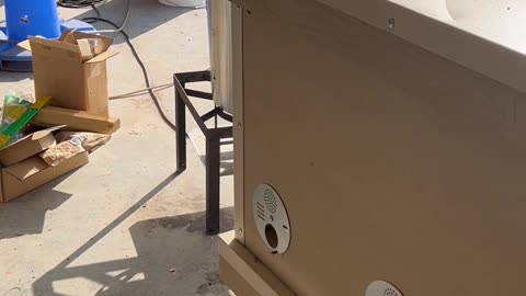 Bee Swarm Moves in to Empty Hive Box