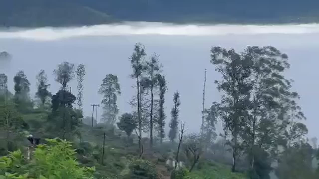 "How Human Activity is Transforming Earth – Fast"