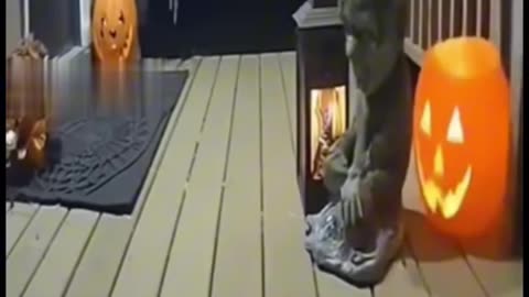 Angelina Hettinger Shared with Public - Halloween