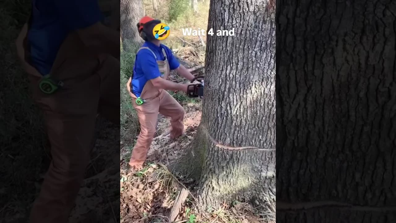 Funniest Unexpected Moments