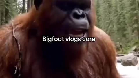Bigfoot Vlog Core