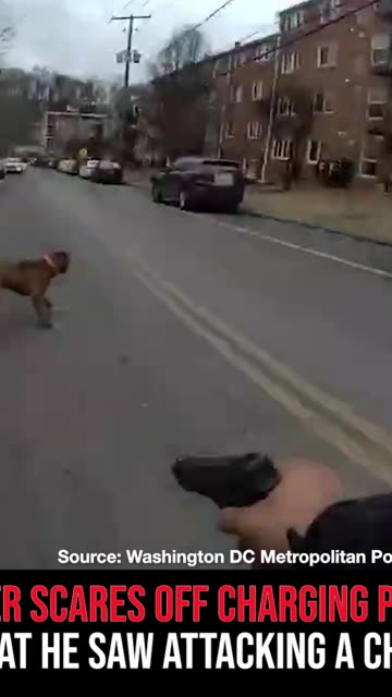 Officer Scares Off Charging Pit Bull That He Saw Attacking a Child