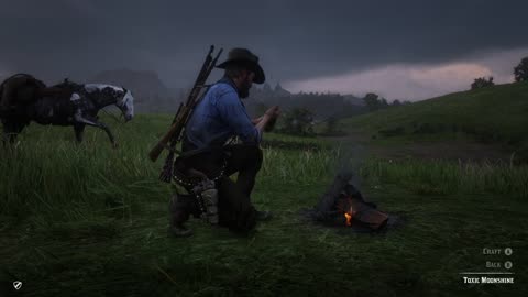 RDO * 3 Cook Crafting Wilderness Camp Daily Challenges
