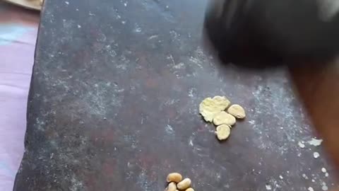 so this is how cereal is made