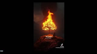 I AM WHO I AM (SOUL MUSIC) .......