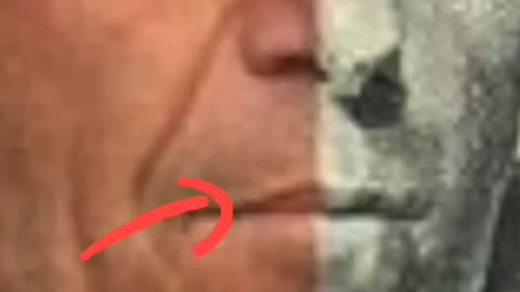Epstein rabbit hole