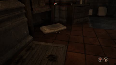 Oblivion remastered: Doing another special job for the thief guild