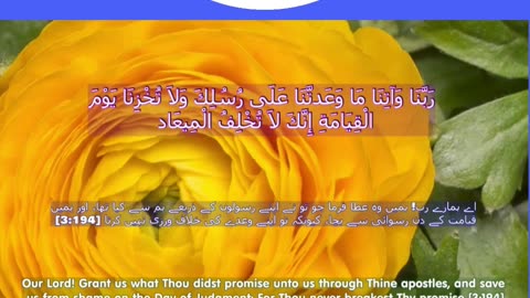 40 Rabbana Duas (Dua no 17)