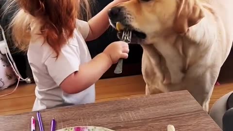Dog and girl BBF
