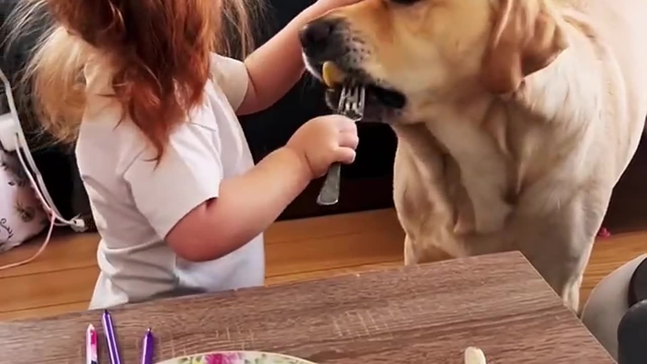Dog and girl BBF