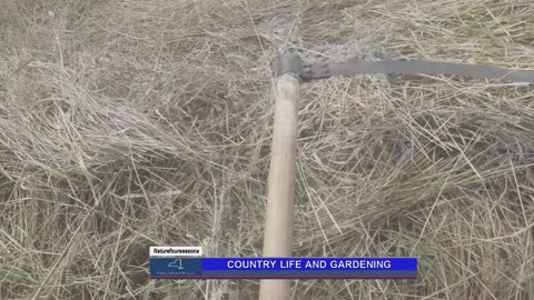 Rural life and gardening