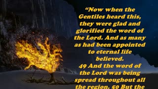 Matthew 10:14 - Daily Bible Verse Commentary