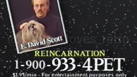 REMEMBER THE REINCARNATION HOTLINE?