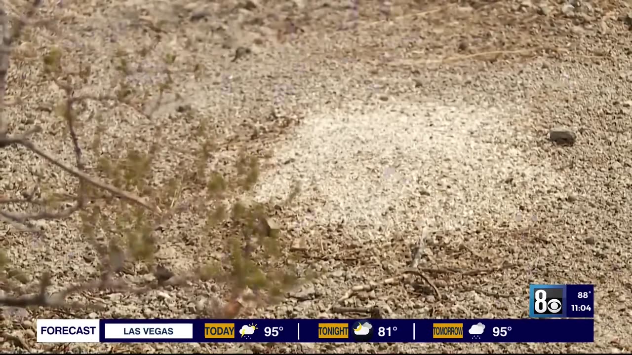 Over 100 piles of cremated human remains found in the desert outside of Las Vegas, Nevada.