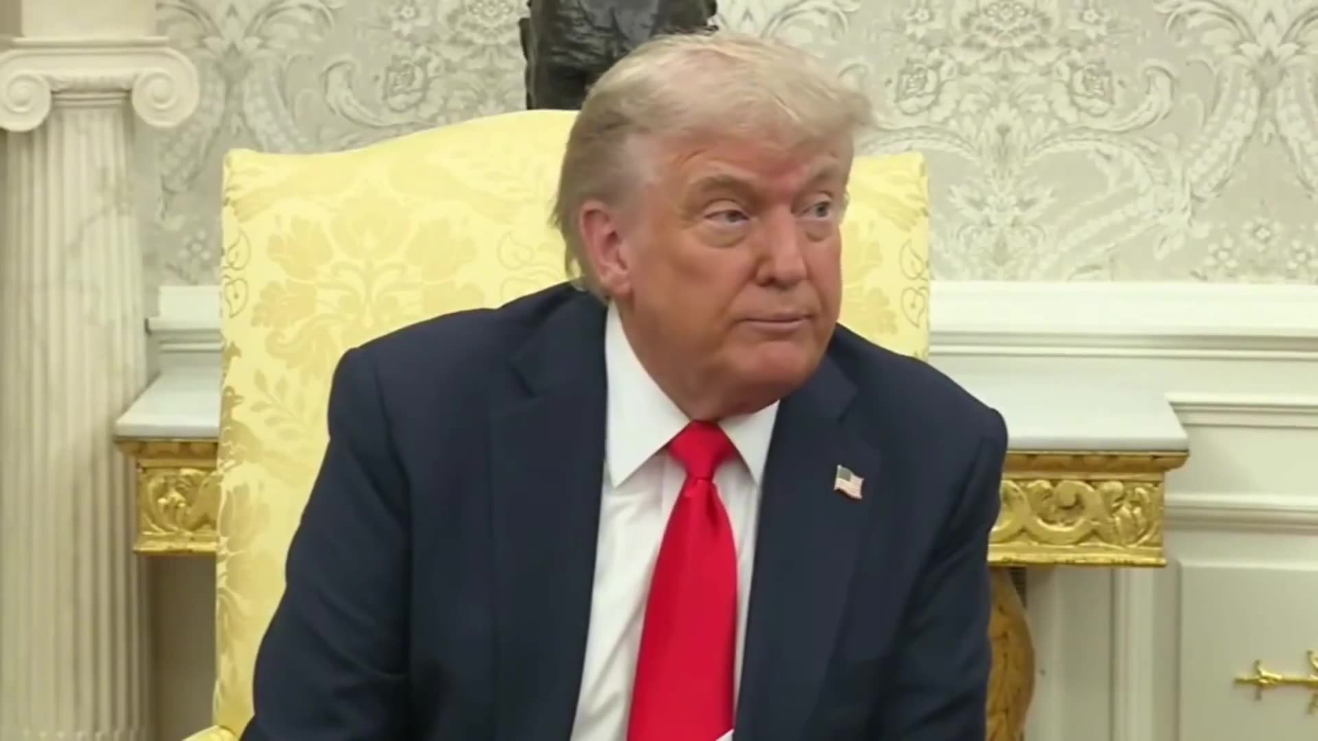 Scotty Films-John Fogerty - Rock And Roll Girls