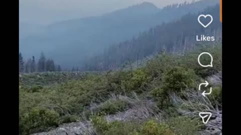 Sgt WarDawg TV® - 24/7