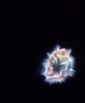 The firmament and the stars